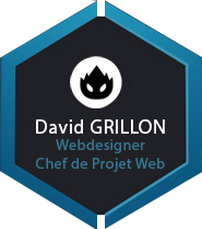 Logo David Grillon